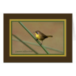 Common_yellowthroat819_3690 Greeting Card