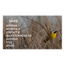 Common Yellowthroat Business Card
