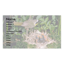 Common Yellowthroat with young Business Cards