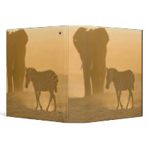 Common Zebra, Equus burchelli, and Elephant, Vinyl Binder