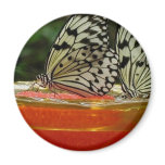 Communion magnets