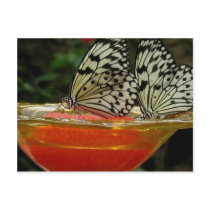 Communion postcards by OzarkNomad Communion postcards
