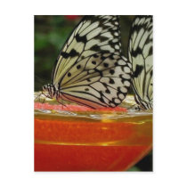 Communion postcards by OzarkNomad Communion postcards