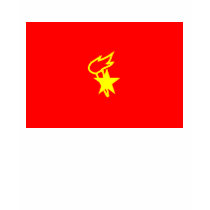 Communist Party of China T-SHIRT - Customized