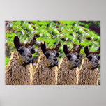 'Como se llama?' posters
