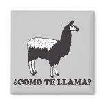 Como Te Llama Magnets