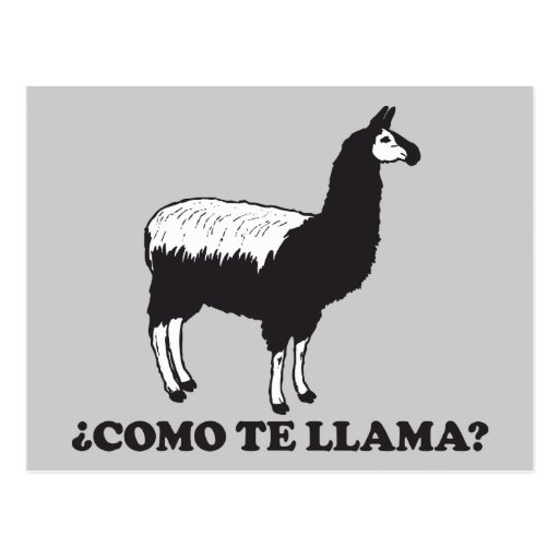 Como Te Llama Post Card