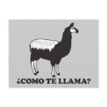 Como Te Llama