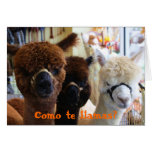 Como te llamas? Notecard