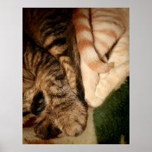Comodidad de la familia posters