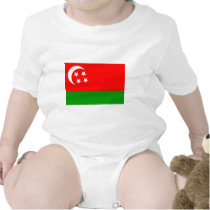 Comoros Flag (1975) t-shirts