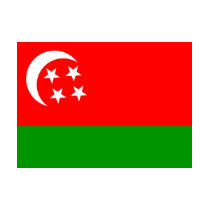 Comoros Flag (1975) t-shirts