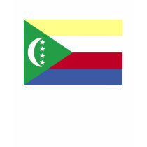 Comoros Flag t-shirts by coolcountry Comoros Flag t-shirts