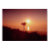 sunset, pink, silhouette, shrub, hill, milagra