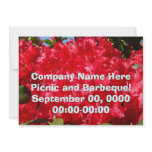 Company Picnic Corporate Barbeque Invitations