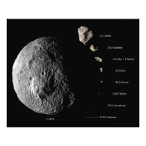 Comparative Size Chart of Nine Asteroids Art Photo