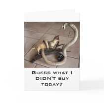 comparison shopping cards