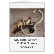 comparison shopping cards