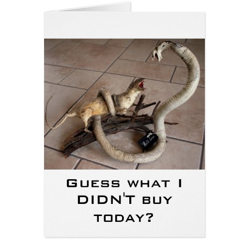 comparison shopping cards