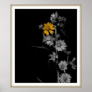 Compass Flower Print print