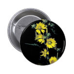 Compass plant pinback button