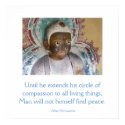 Compassion for Animals Buddha Poster posters