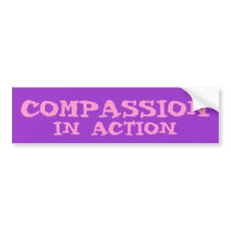 COMPASSION IN ACTION bumper stickers