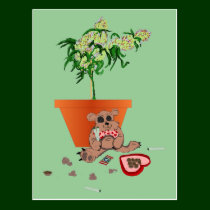 Compassionate Love, of a naughty Bear!  PostCard postcards