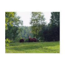 Comphy Cozy postcards by myindianpony Comphy Cozy postcards