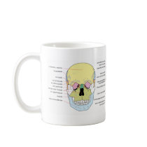 Complete Diagram of the Front of the Human Skull Coffee Mugs