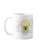 Complete Diagram of the Front of the Human Skull Coffee Mugs