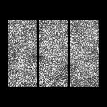 Complex Network - Black and White canvas prints