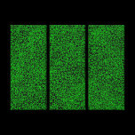 Complex Network - Green on Black canvas prints