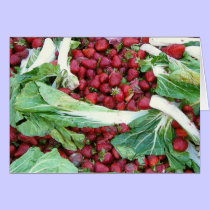 Compost Christmas cards