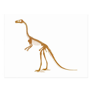 compsognathus bones