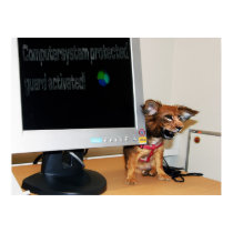 Computer guard poster posters