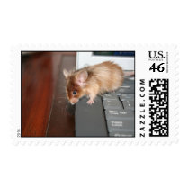 Computer Mouse postage
