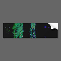 ComputerFlare bumper stickers
