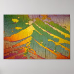 Computerography Posters