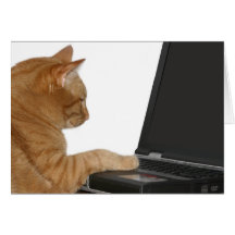 computing cat greeting cards