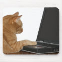 computing cat mousepads