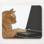 computing cat mousepads