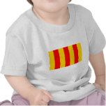 Comte De Foix, France flag t-shirts