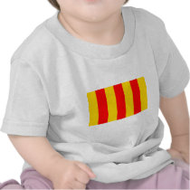 Comte De Foix, France flag Tshirt