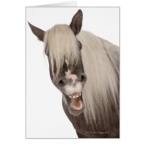 Comtois horse is a draft horse - Equus caballus Greeting Card