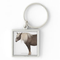 Comtois horse is a draft horse - Equus caballus Keychains