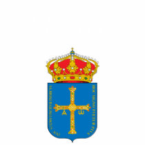 COMUNIDAD AUTÓNOMA del PRINCIPADO de ASTURIAS t-shirts