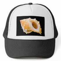 Conch hats by werglein Conch hats