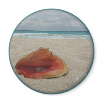 Conch on Beach magnet magnets