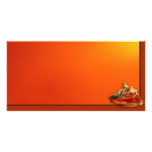 Conch Picture Card